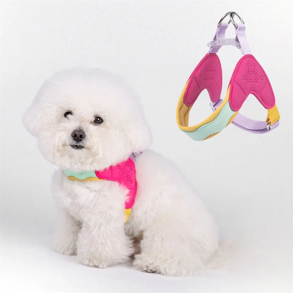 Ζώνες για κουτάβια για μικρά σκυλιά