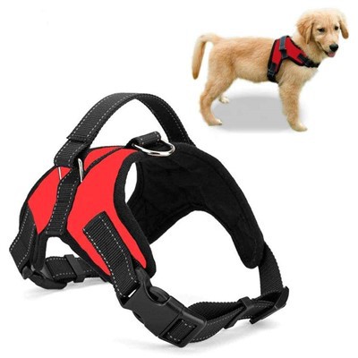 Η πιο άνετη ζώνη χωρίς τράβηγμα για σκύλους